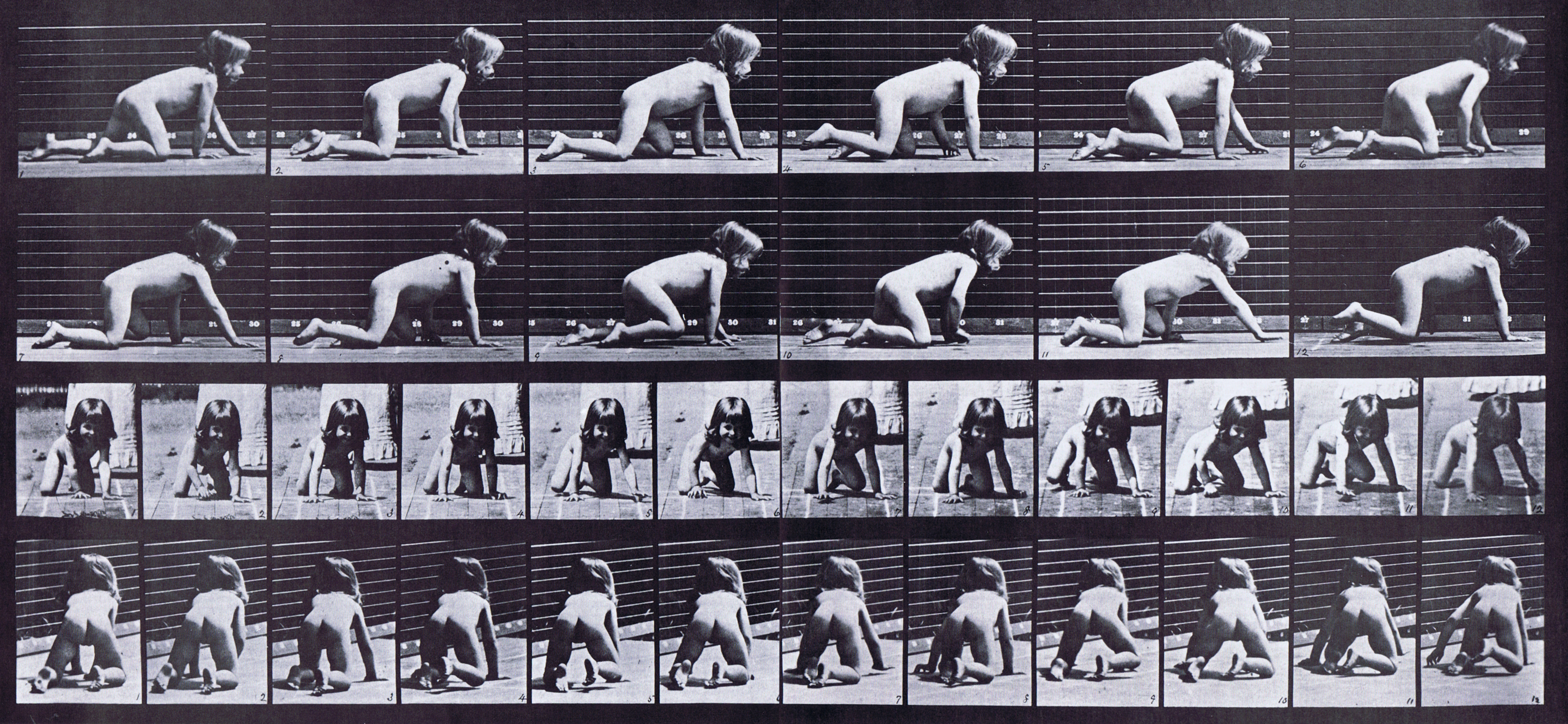 large profile, front, and rear three-quarter views of nude female toddler child crawling on her hands and knees animation reference using muybridge plate 471 from animal locomotion