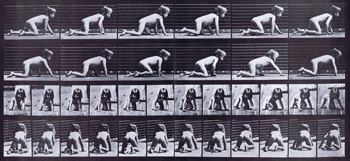 Profile, front, and rear three-quarter views of nude female toddler child crawling on her hands and knees animation reference using muybridge plate 471 from animal locomotion