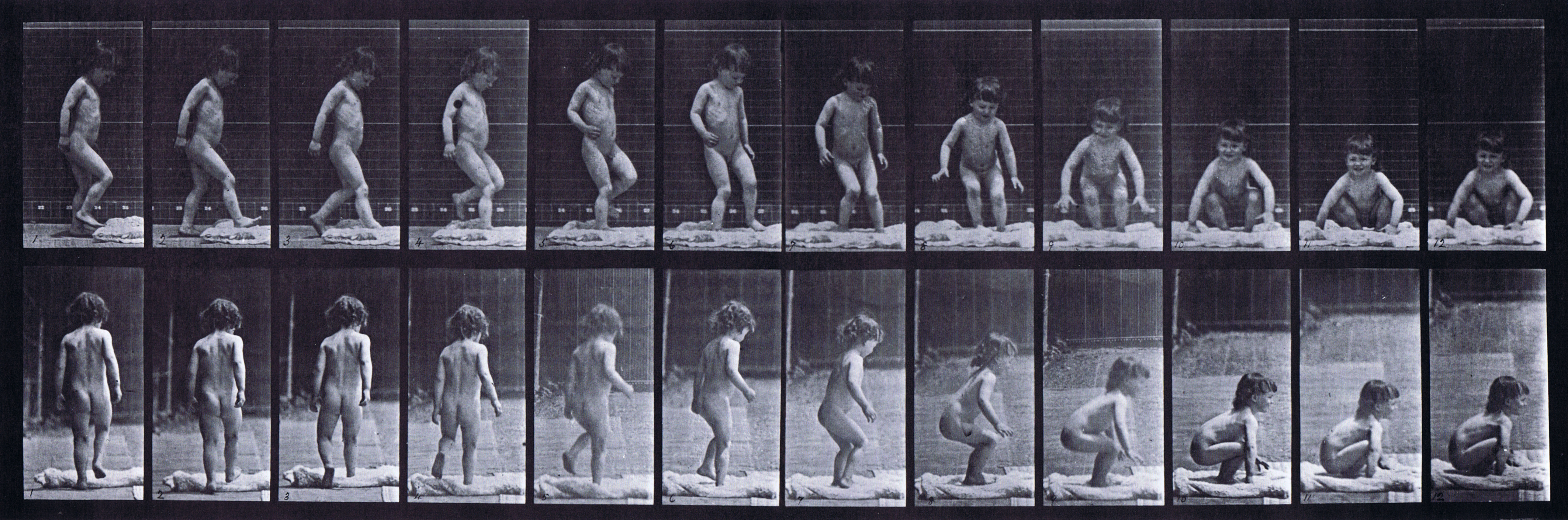 large profile and rear views of nude male toddler child walking and sitting down on the ground animation reference using muybridge plate 476 from animal locomotion