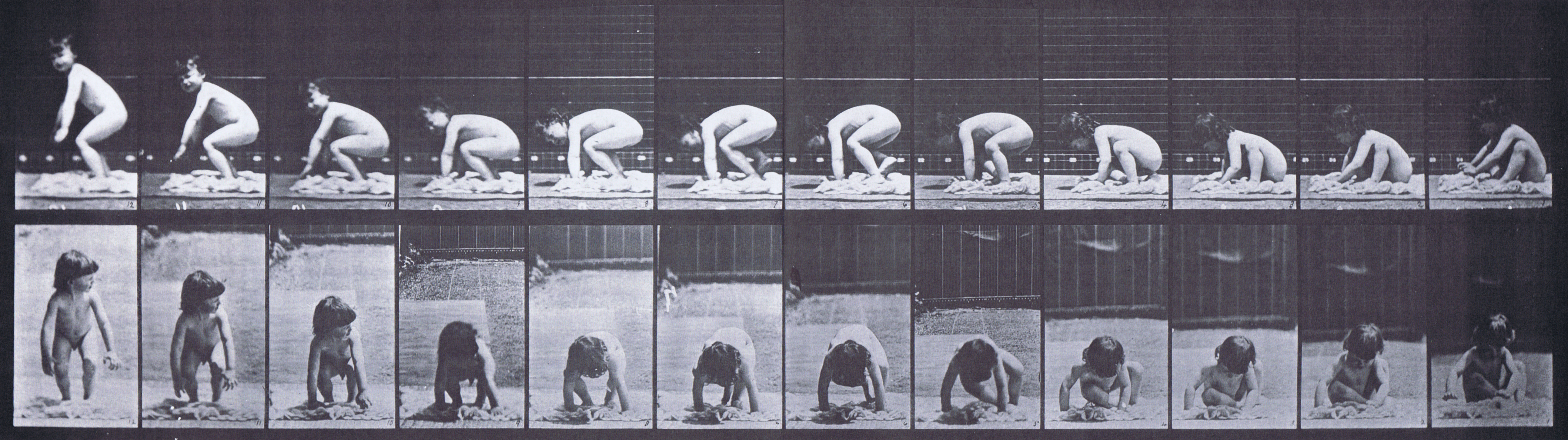 large profile and front views of nude male toddler child getting up from the ground animation reference using muybridge plate 479 from animal locomotion