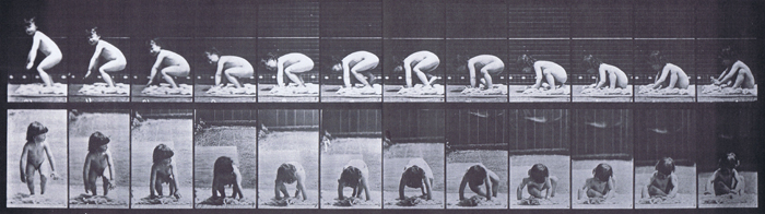 Profile and front views of nude male toddler child getting up from the ground animation reference using muybridge plate 479 from animal locomotion