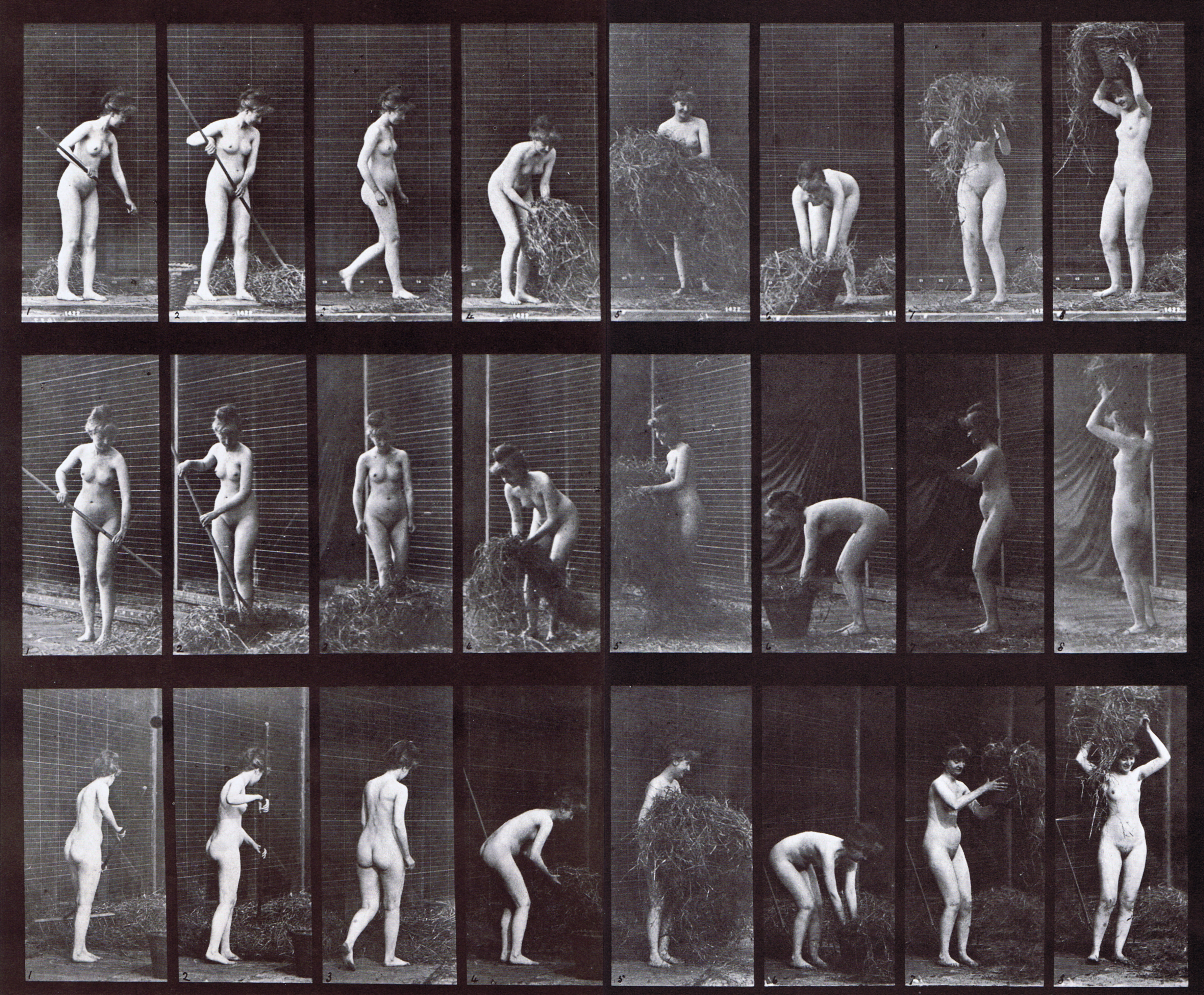 large profile, front three-quarter, and rear three-quarter views of nude female racking and packing hay animation reference using muybridge plate 499 from animal locomotion