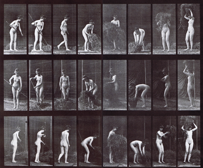 Profile, front three-quarter, and rear three-quarter views of nude female racking and packing hay animation reference using muybridge plate 499 from animal locomotion
