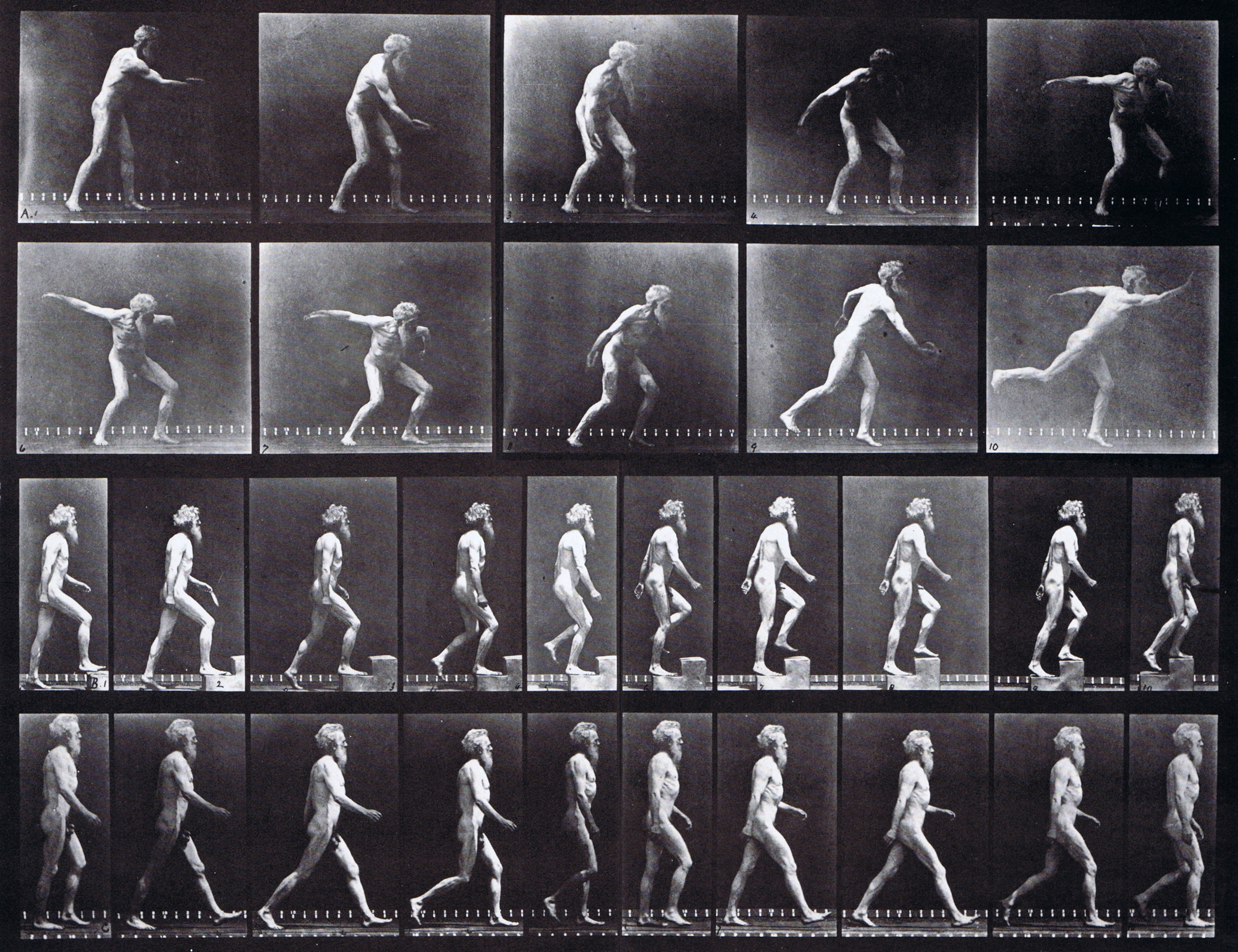 large profile views of a nude male throwing a iron disc, ascending steps, and walking animation reference using muybridge plate 519 from animal locomotion
