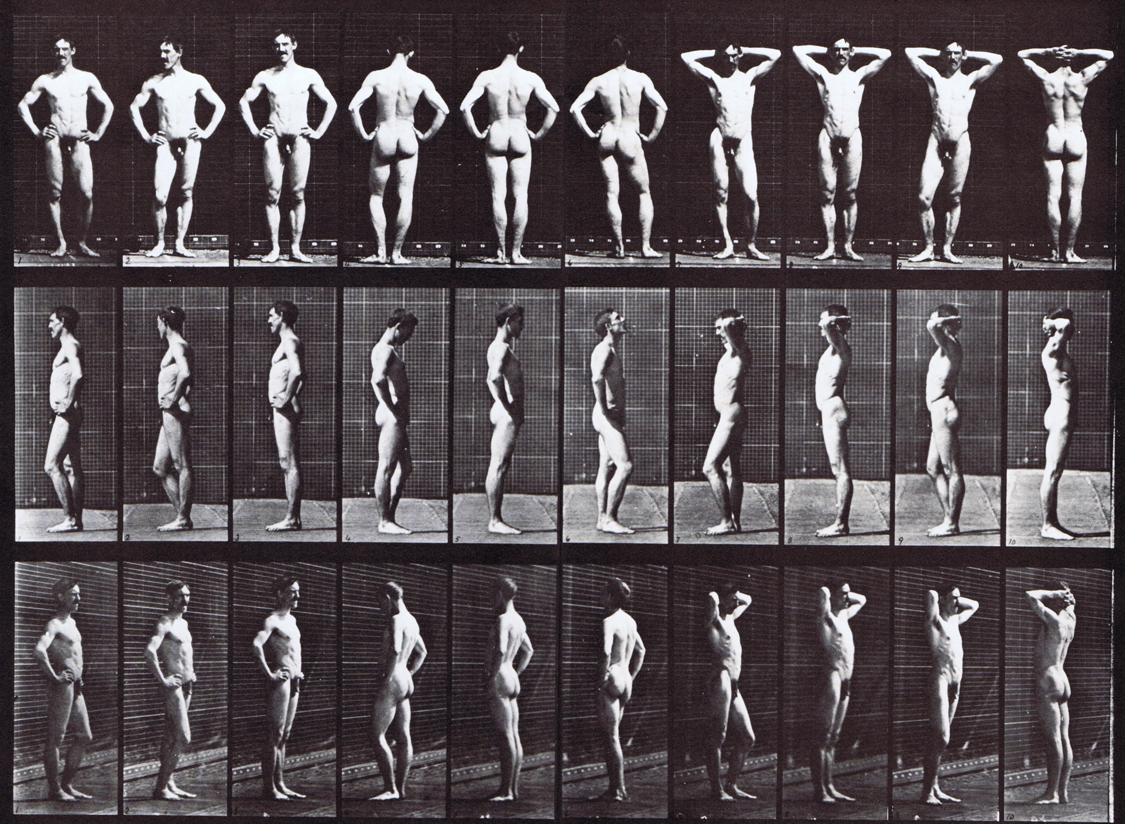 large front, profile, and front three-quarter views of a variety of nude male poses, hands on hips, on neck animation reference using muybridge plate 530 from animal locomotion