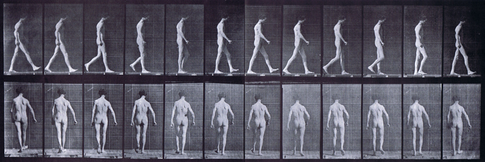 Profile and rear views of nude male walking with locomotor antaxia animation reference using muybridge plate 546 from animal locomotion