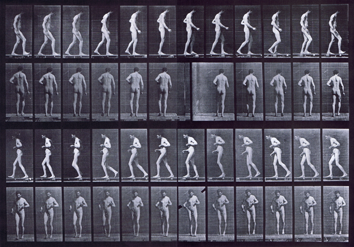Profile, rear, and front views of nude male looping walkcycle with lateral sclerosis animation reference using muybridge plate 548 from animal locomotion