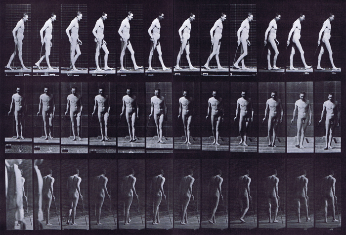 Profile, front, and rear three-quarter views of nude male with partial paraphelgia walking with a cane animation reference using muybridge plate 559 from animal locomotion