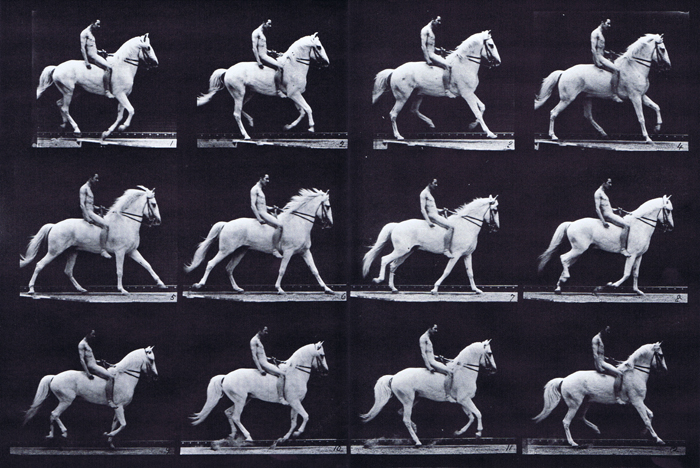 Profile view of horse cantering with a nude male rider riding bareback animation reference using muybridge plate 617 from animal locomotion
