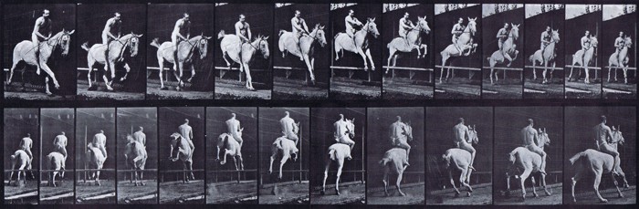 Front three-quarter and rear three-quarter view of a horse jumping a hurdle with nude male rider riding bareback animation reference using muybirdge plate 647 from animal locomotion
