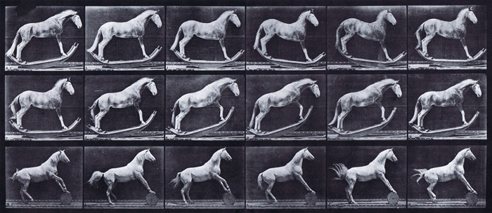 Profile view of horse rocking and profile view of horse rolling barrel animation reference using muybridge plate 649 from animal locomotion